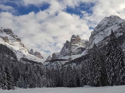 8B762B8C1C75EAAA4E29D837F0B9FC8E