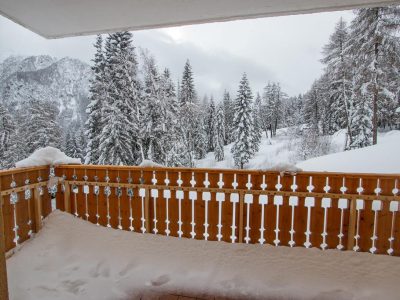 C44FCC51215FF2D7D4F8C9BD524FD916