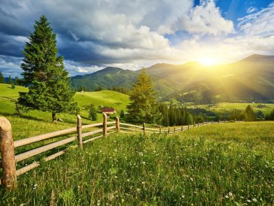 DE24C6D89C7E1F9E739E0C57C9C714B0